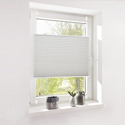 Deswell Plissee ohne Bohren Plisseerollo klemmfix Grau B100 x H100 cm Plisseerollo Stoff Sonnenschutz Leicht zu Montieren & Verspannt kinderleichte Montage 4Locks für Fenster & Tür