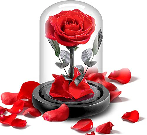 SINJYUN Rose im Glas,Geburtstags Geschenk für Freundin,Schöne und Das Biest Rose