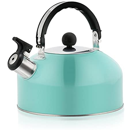 Masyrt Bouteille de camping sifflante en acier inoxydable de 3 L - Bouilloire légère pour cuisinière à gaz, bouilloire de voyage avec poignée pliable et bec verseur rabattable pour camping, pêche