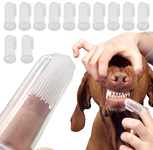 Spazzolino da Denti per Cani di Gatto,Fibra di Tessuto Spazzolini da Dito per Animale Domestico a Copertura Totale a 360 °,Rimuovere Efficacemente la Placca Dell'animale Domestico (12 pezzi)