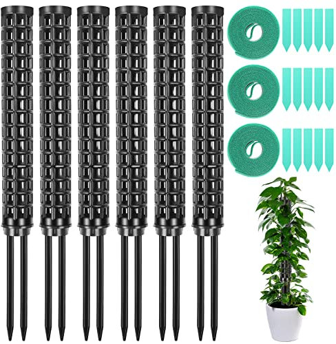 TIHOOK Monstera Rankhilf, 6 STK Moosstab, Pflanzstab Monstera, Moss Pole Monstera, für Monstera Pflanzen Efeutute, mit Pflanzenetiketten und Drehbändern