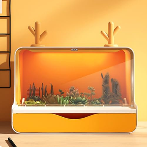 QUTBAG Macetero Inteligente para suculentas, macetero de Interior con luz LED de Crecimiento y Ventilador, Maceta pequeña de Cactus para decoración de Interiores y Exteriores, hogar, jardín, Cocina B