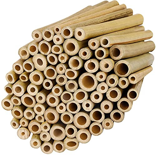 Belle Vous Tuteur Bambou Naturel (Lot de 100) - L10 x l0,9 cm - Remplissage Hôtel à Insectes, Hôtel à Abeilles Sauvages Solide & Durable - Tuteur Tomate, Tuteur Plante de Jardin & Artisanat