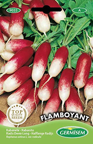 Germisem Flamboyant Semi di Ravanello 12 g