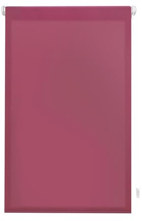 INTERBLIND | Tenda avvolgibile avvolgibile EasyFix traslucida liscia 67 x 180 cm (larghezza per altezza) - Tenda premium montaggio senza attrezzi misura tessuto 64 x 175 cm - Tenda avvolgibile senza