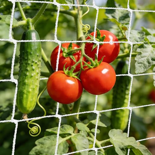 Red para Plantas Trepadoras, 1.35 x 2.7M Malla para Plantas Trepadoras, Red Enredadera Malla Entutorar Guisantes, Red de Enrejado Jardin, Red de Jardin para Pepino, Tomates, Flores, Verduras, Frutas