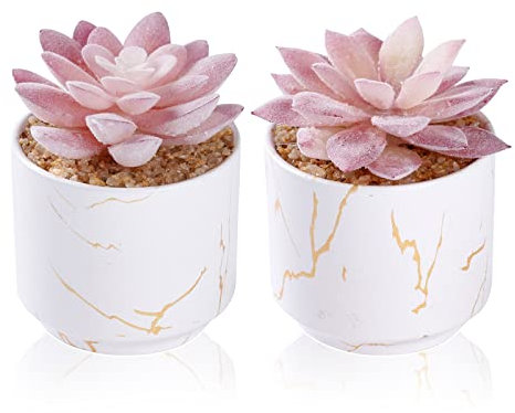 ZENIDA Artificial Plants and Succulents in 2 White Ceramic Pots,Small Fake Plants for Office and Desk Decor,Bathroom, Bedroom,Shelves for Women
