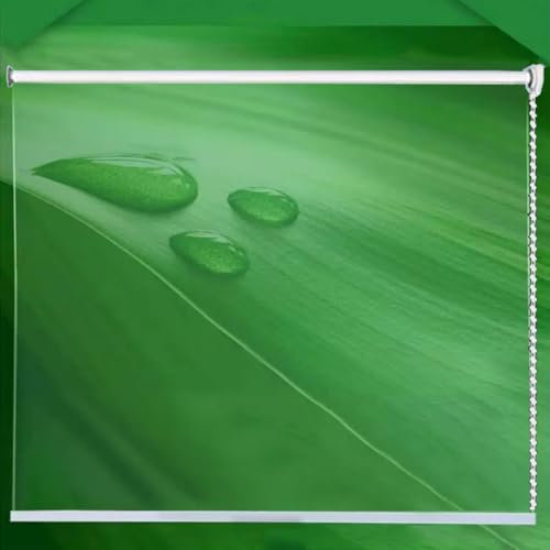 Tende a Rullo Pvc Trasparente,Tapparella Avvolgibile Impermeabili,Tenda a Rullo per la Decorazione di Casa e Cucina,Tenda Termica Facili da Sollevare con Raccordi (W155xH160cm/W61xH63)