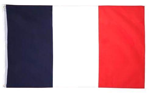 AZ FLAG Lot de 10 Drapeaux France 90x60 cm Polyester 100D 2 Œillets | Usage intérieur et extérieur Drapeau décoratif français coutures doubles et bords renforcés avec œillets métalliques