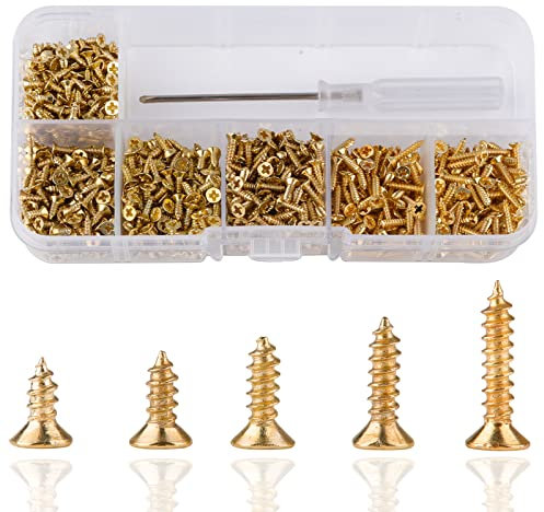 Roosea Petites Vis a Bois 1000 piéce Mini Vis Autotaraudeuses M2 Vis Tête Plate Micro Visserie, Vis dorées de Petites (5-10mm)