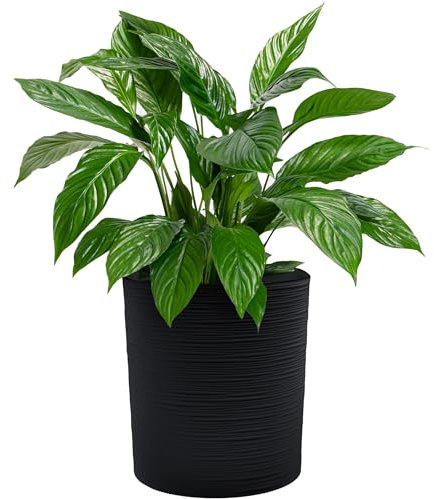 KONZEPT Blumentopf Groß Innen, Übertopf Groß 30cm Pflanzentopf Kunststoff Schwarz Meißelspuren-Design, Mit Inneneinsatz