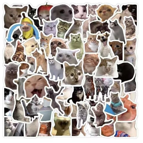 100er-Set Katzen-Meme-Sticker, wasserdicht und lichtbeständig, hochauflösender Druck, sticker, katzen sticker