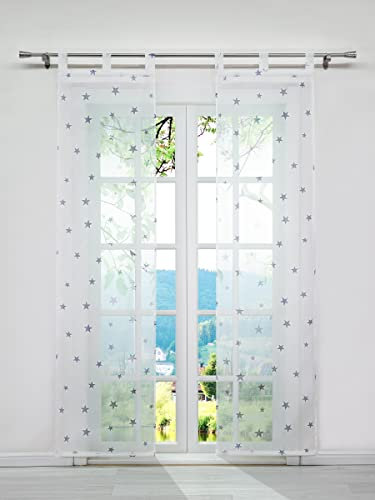 ESLIR Schiebegardinen Set 2er Flächenvorhänge Gardinen mit Schlaufen Schiebevorhang Transparent Schlaufenschal mit Sterne Muster Voile Modern Grau BxH 57x245cm 2 Stück