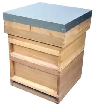 WJLYDM Bienenstock-Box Bienenstock-Honigbienenkasten aus Holz for die Bienenzucht FüR BienenzüChter