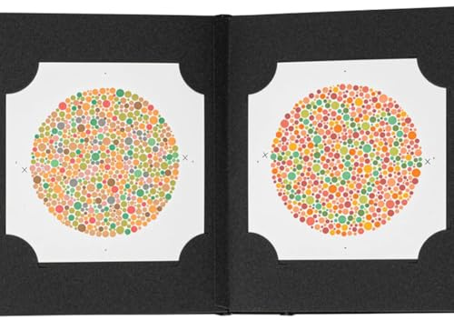 URPIZY Ishihara Farbtafel Testbuch mit 38 Platten zur Erkennung von Rot-Grün-Sehschwäche und angeborener Farbblindheit, inklusive spezieller Testtafeln und Augenabdecklinsen für präzise o