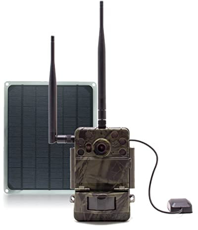 Active Media Concept Caméra de Chasse Ultra HD 4K IR Invisible avec Panneau Solaire GPS GSM 4G Envoi Photo et vidéo sur iOS et Android Serveur Cloud e-Mail et FTP