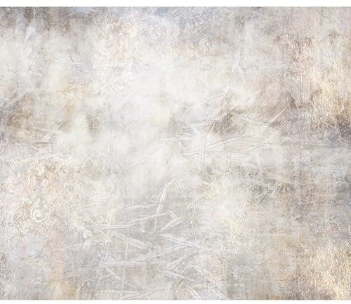murando - Vlies Fototapete Abstrakt 450x315cm - Foto Tapete Schlafzimmer Wohnzimmer Vliestapete XXL Motivtapeten Bildtapete 3d Effekt Wand Dekoration - Betonoptik Natur Retro wie gemalt f-C-10030-a-a