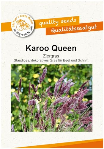 Blumensamen Karoo Queen Ziergras Portion