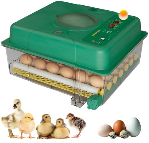 Plutohiker Brutautomat Vollautomatisch 36 Eier, Inkubator mit 5 Automatische Brutmodi, Brutmaschine mit Temperaturregelung, Feuchtigkeitsanzeige und Eierleuchter, für Hühner, Enten, Gänse und Tauben