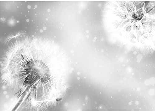 Runa Art Photo Wallpaper Flowers Pusteblume Modern Non-Woven Living Room Bedroom Wall Decoration - Made in Germany - Black-and-White 9401010c