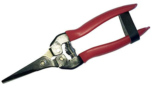 Riegolux 302172 - Forbici da pomodoro