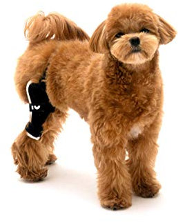 Poveo Kniebandage für Hunde mit Patella-Tracker, Neopren, für Hunde mit Patella-Luxation, Arthrose, Instabilität, Gelenkschmerzen (Scharnierkniebandage) (rechts, S)
