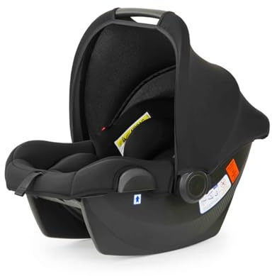 Ickle Bubba Astral Group 0+ Car Seat