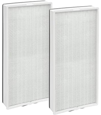 Amazon Basics Air Purifier Replacement Filters for Home Bedroom, With True HEPA Air Filter, 96 m², 2 pack