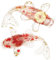 Cabilock 2 Pcs Cristal Gravier Carpe Ornement Figurines De Poisson en Verre Soufflé À La Main Poisson Cristal Statue Décor Bonne Chance Animal Statue Animal Aquatique Vert Figure Japon