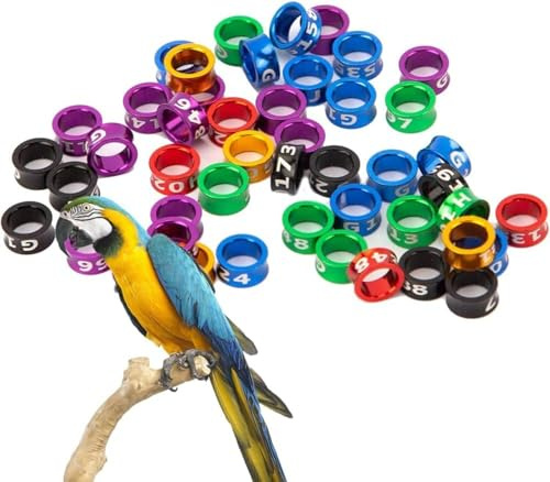 Eivdru Anillo Abierto para pájaros, Anillo para Pierna de pájaro, Anillo Dividido de Aluminio, Etiqueta para identificar Palomas, Anillo de Entrenamiento de Colores Mezclados