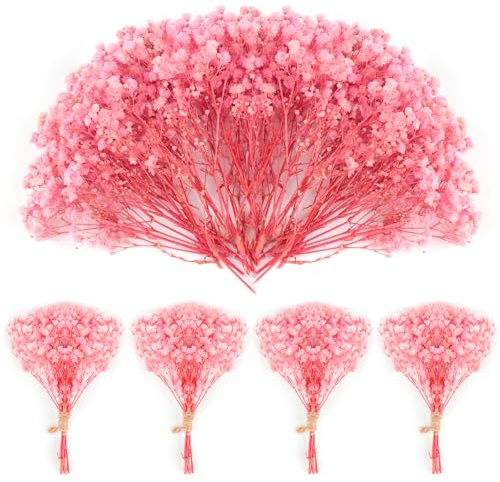 70Stück Schleierkraut Getrocknet 4000+ Mini Pressed Real Natürliche Gypsophila Bulk NatürlicheRosa Getrocknete Blumen für Haar Zubehör Hochzeit Kranz Karte Machen Tisch Vase Geschenk Home Decor