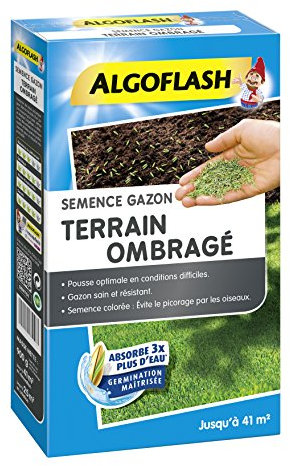 Algoflash Seme Erba Terreno Ombreggiato, 900 g, Semto1, Blu