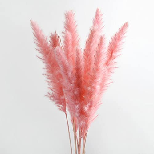 ESCATIC 10pcs natürliches getrocknetes Pampasgras-Schilfblumen-Bündel künstliche Pflanzen getrockneter Blumenstrauß-Schilf-Hochzeits-Hausblumenstrauß-Dekor 4Colors-Pink