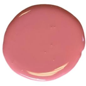 Pasta Pigmentale Ultra Concentrata per Resine Epoxy, Poliestere e Gel Coat - Colori Miscibili, Made in Francia, Senza Solventi, Pigmenti di Alta Qualità (Rosa chiaro RAL 3015)