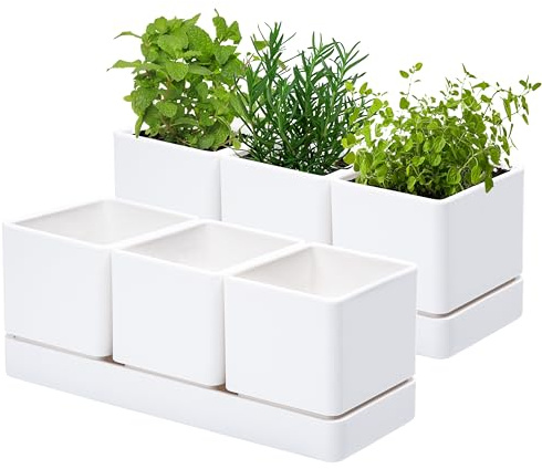 D'vine Dev Kräutergarten Pflanzgefäß Set Kunststoff Pflanztöpfe mit Drainage und Untersetzer Indoor Sukkulenten Kaktus Gemüsetopf für Fensterbank Garten Balkon Weiß 2er Set 76-V-A-2