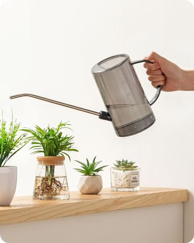 Baffect 1 litro de regadera, Claro cilíndrico de riego con Acero Inoxidable de Largo vertido Jardín Planta de riego Herramienta para Plantas de Interior Plantas de Escritorio de Interior y Exterior