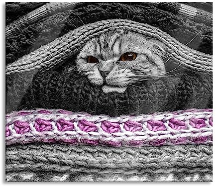 stinkige Katze zwischen Pullovern Herdabdeckplatte & Spritzschutz aus Echtglas | Für Herd-Kochfelder | 60x52 cm
