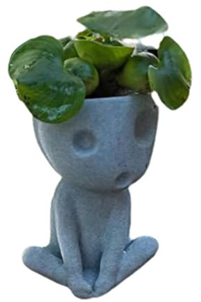 Haofy Pot de Jardinière à Visage Lumineux, Joli Pot de Fleurs Succulentes en Résine, Brille la Nuit, Décoration Intérieure et Extérieure, avec Petit Trou de (01)