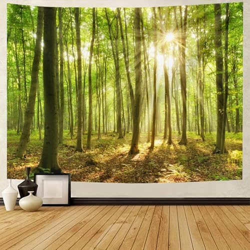BCughia Wandteppich Natur Wald, Wandbehang Grün Wald Sonnenschein Landschaft Tapisserie für Schlafzimmer Wohnzimmer Wohnheim Wanddeko 200x200cm