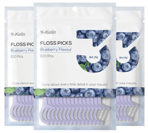 Y-Kelin Filo interdentale, 300 pezzi per stuzzicadenti per filo interdentale, bastoncino per denti, plettri per denti, per la pulizia dei denti (mirtillo, 300 pezzi)