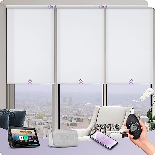 Graywind Smart Semi-Sheer Blinds - UV Protection & Textured Fabric, Cordless Motorised Electric for Alexa Google, Light Filtering for Windows, Rechargeable, Customised, Remote Control, Plain White