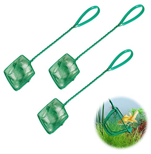 Zhouocea 3 PCS Aquarium Fish Net Green Fine Mesh Fish Net Catch Net Fish Tank Net with Long Plastic Handle Pond Net for Fish and Shrimp