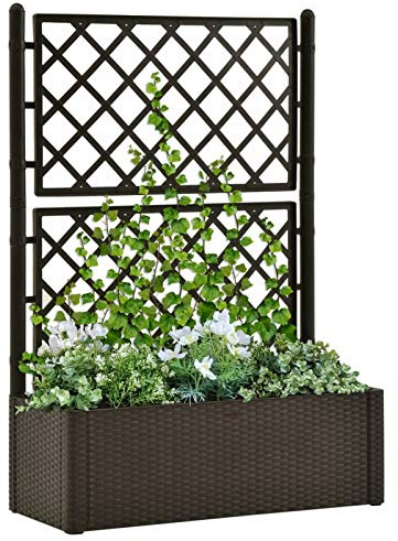 Susany Garden Raised Bed with Trellis and Self Watering System, Trellis Planter, Garden Trough Planter with Topped Trellis Climbing Plants Flower Raised Bed, Mocha