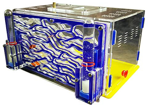 DIY Ant Granary Feeding Area Farm Acrylic Villa Advanced Mania for House Ants Ecological Nest Pet Birthday Present Gift
