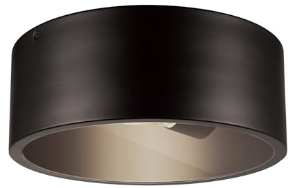 GLOBE Electric 44479 Teagan 1-Light Outdoor Indoor Flush Mount Ceiling Light, Dark Bronze, Clear Glass Shade, Bulb Not Included