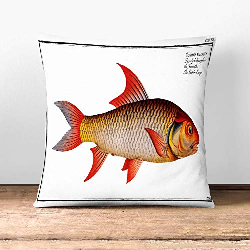 Big Box Art Sickle-Carp Fish by M.E. Bloch - Cushion Cover Throw Pillow with Insert for Sofa Chair Bed - Stone Rear - 55x55 cm