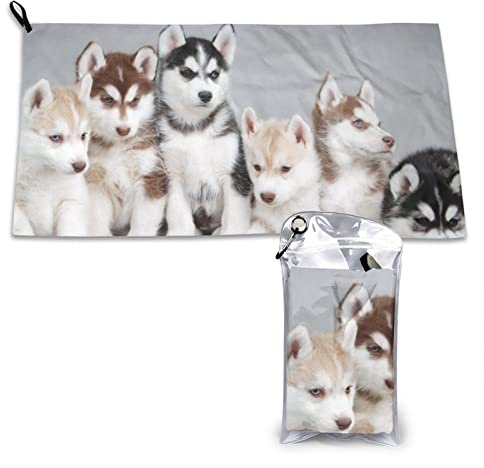 AROONS Schnell trocknendes Handtuch mit Tasche – Husky-Welpen, Hunde, bedruckt, super saugfähig, Mikrofaser, Reise-Sporthandtücher, 80 x 40 cm