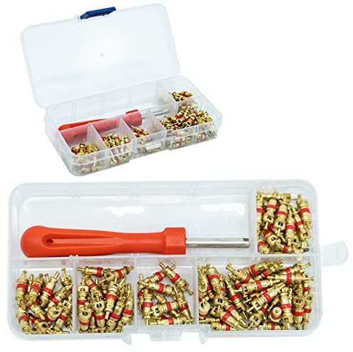 SZXMDKH 100Pcs Demonte Valve Pneu Outil Démonte obus de Valve Outil de Reparation avec 100Pcs Valve Core pour Voiture Remplacement, 4-1 Outil de Réparation de Valve de Pneu, Démonte Valve Pneu