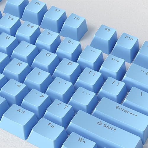 Catekro Tastenkappen, Standard Doubleshot ABS Tastenkappen-Set, OEM-Profil, durchscheinende Tastenkappen für DIY mechanische Tastatur (Blue-ABS)