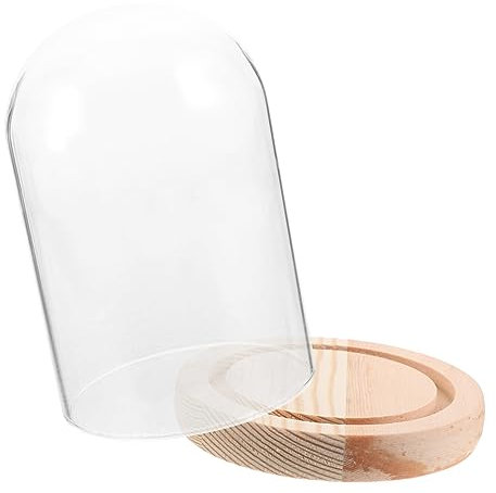 CANIGHT Displayabdeckung aus Glas Ausstellungskuppel Kuppelanzeige Kuppeln Sockel für immer Rosenkugel Glocke aus klarem Glas konservierte Blumenabdeckungen Glasanzeige